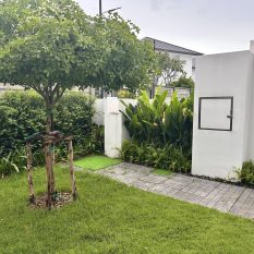 2945FC77-18AC-494D-B0A1-53A3AA18611E