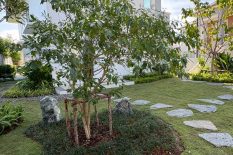 B54A2536-9FD2-4293-8672-AC874E104AF0