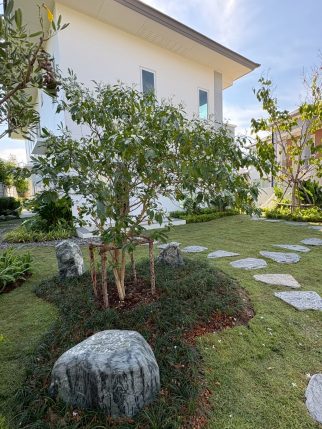 B54A2536-9FD2-4293-8672-AC874E104AF0