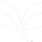 white-leaf-logo