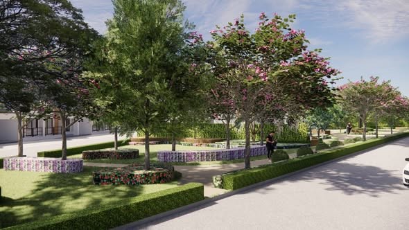 ต้นไม้ยอดนิยม