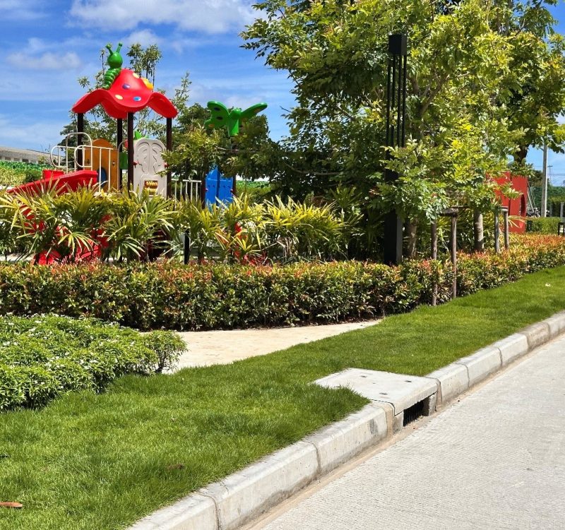 วิธีดูแลพันธุ์ไม้